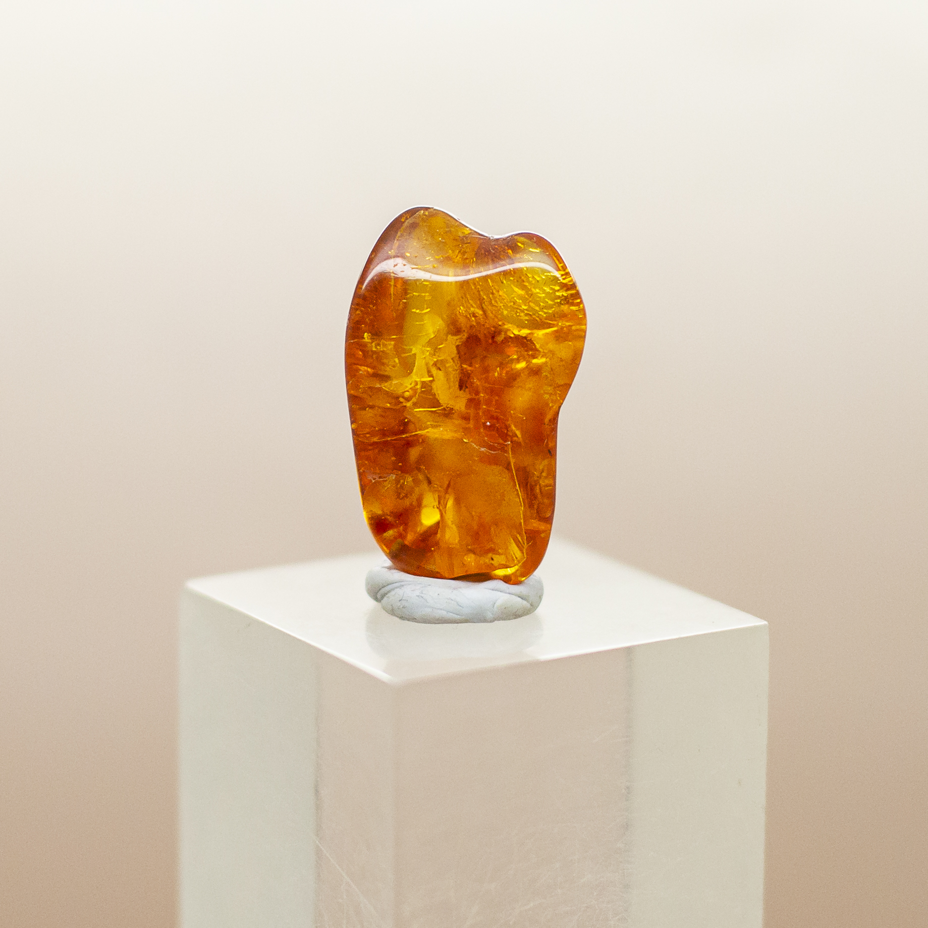 baltic amber
