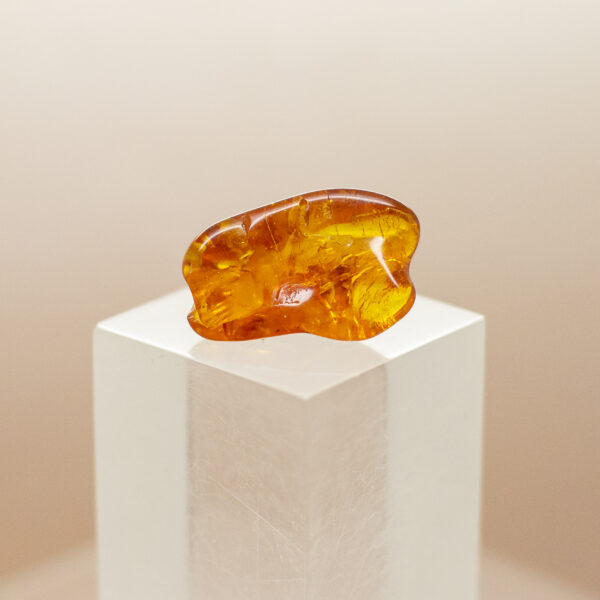 baltic amber