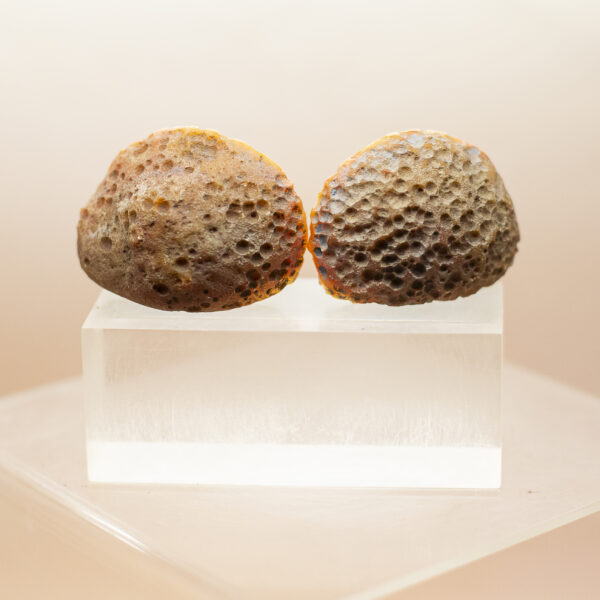 agate creek geode pair (copy)