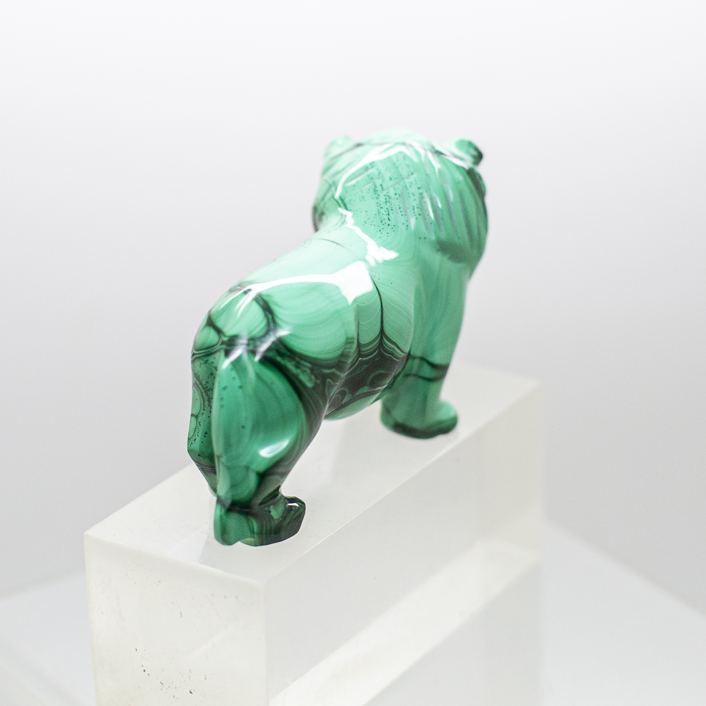malachite lion