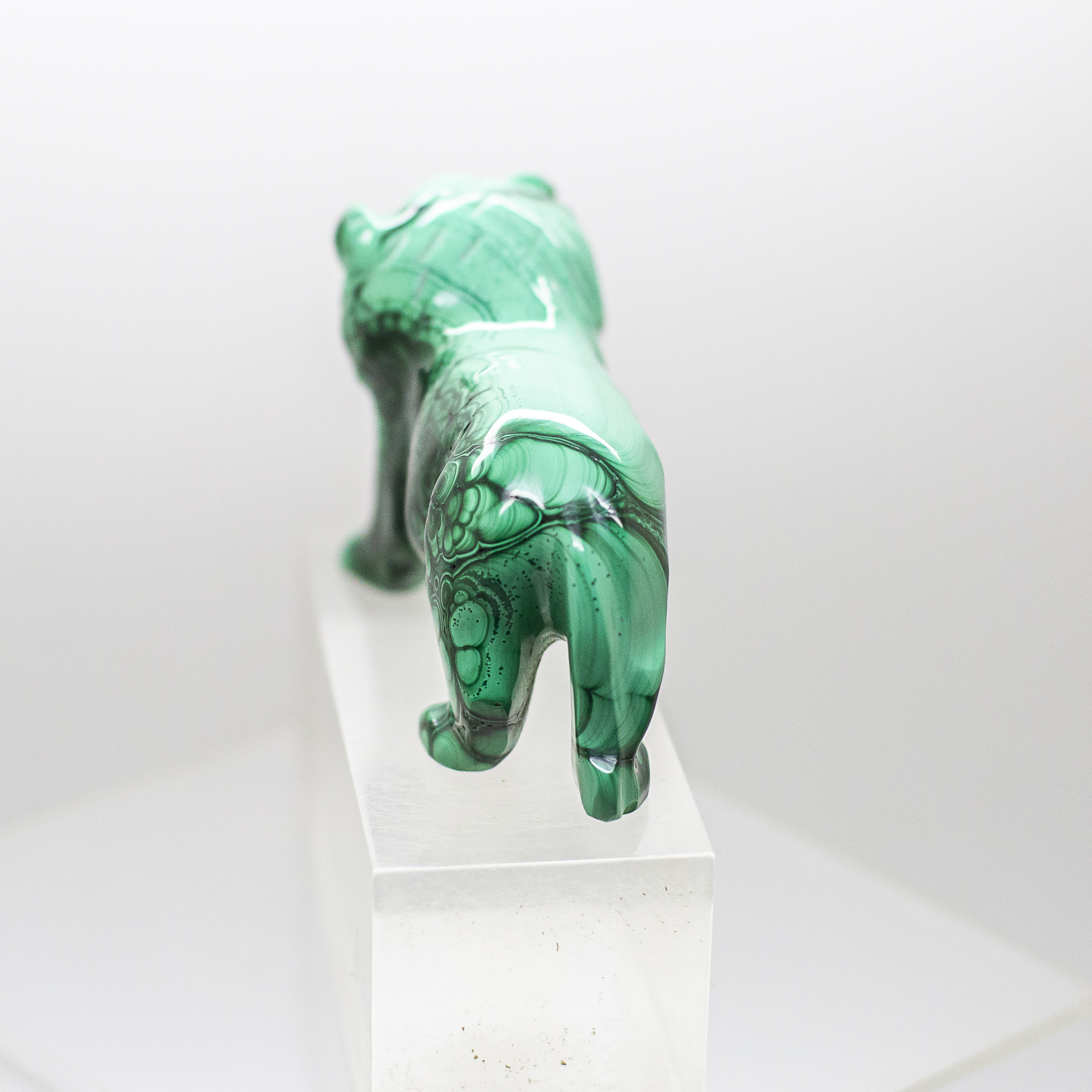 malachite lion