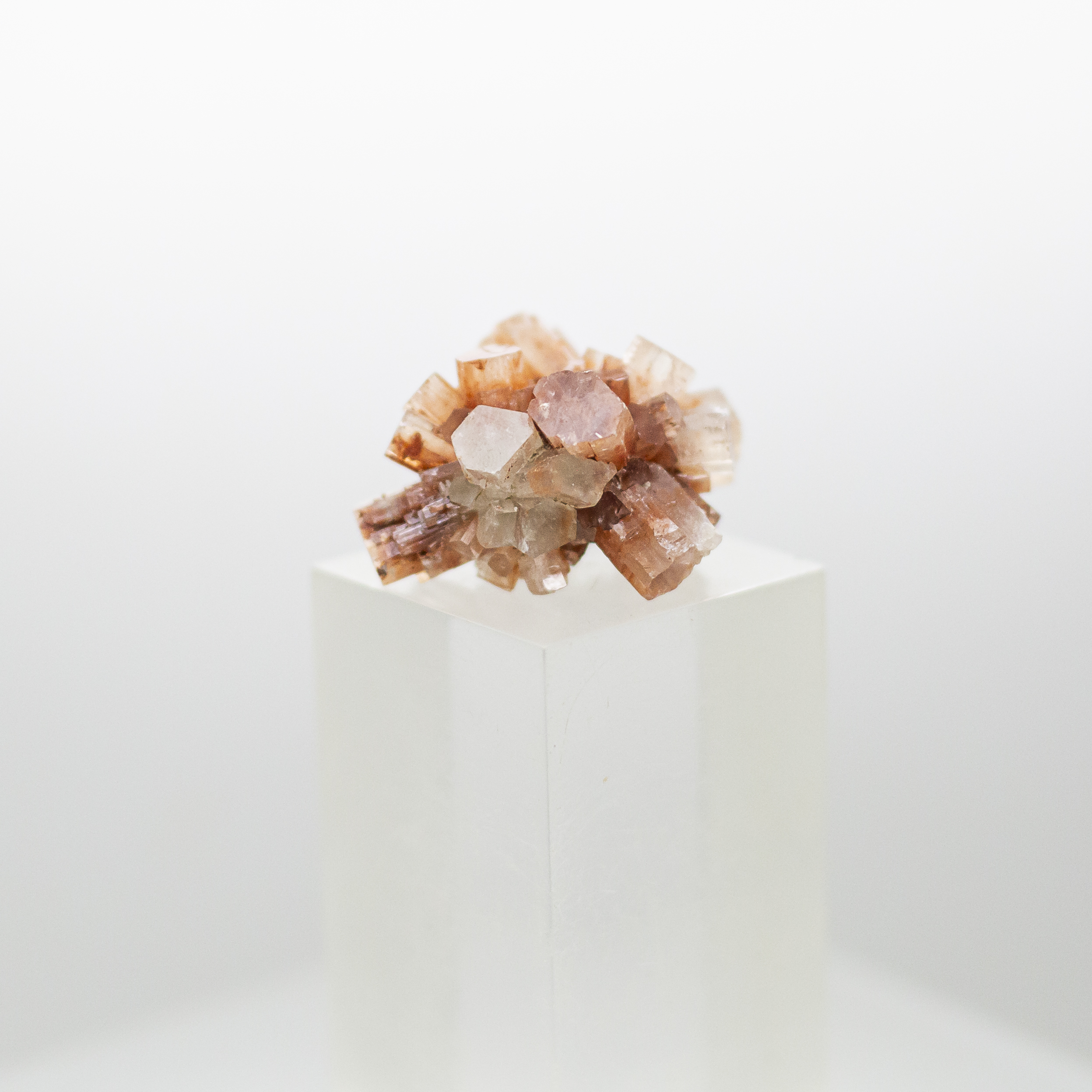 aragonite cluster