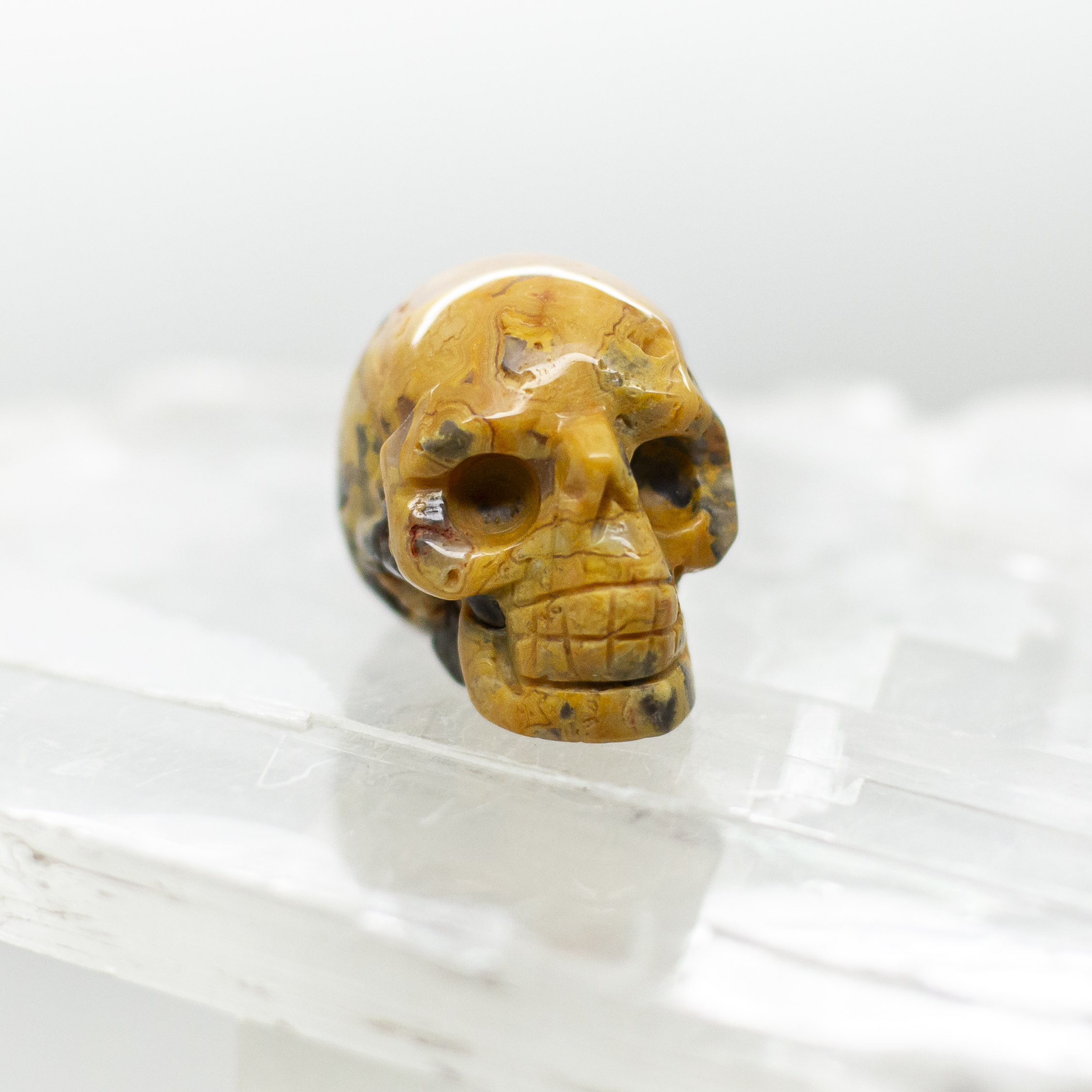 crazy lace agate skull (copy)