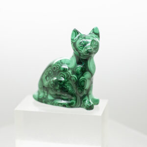 malachite cat