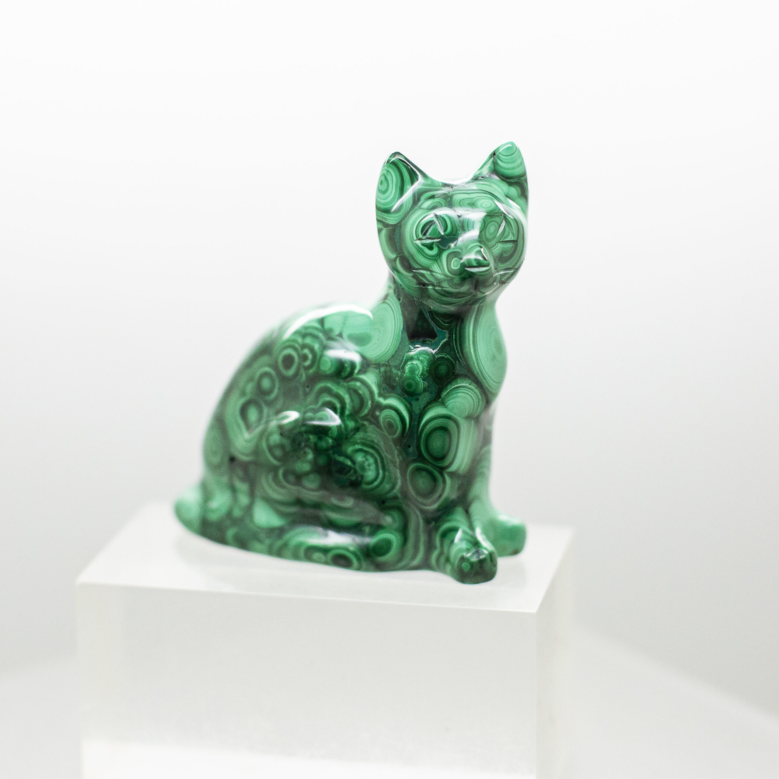 malachite cat