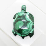 malachite turtle