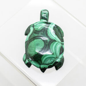 malachite turtle