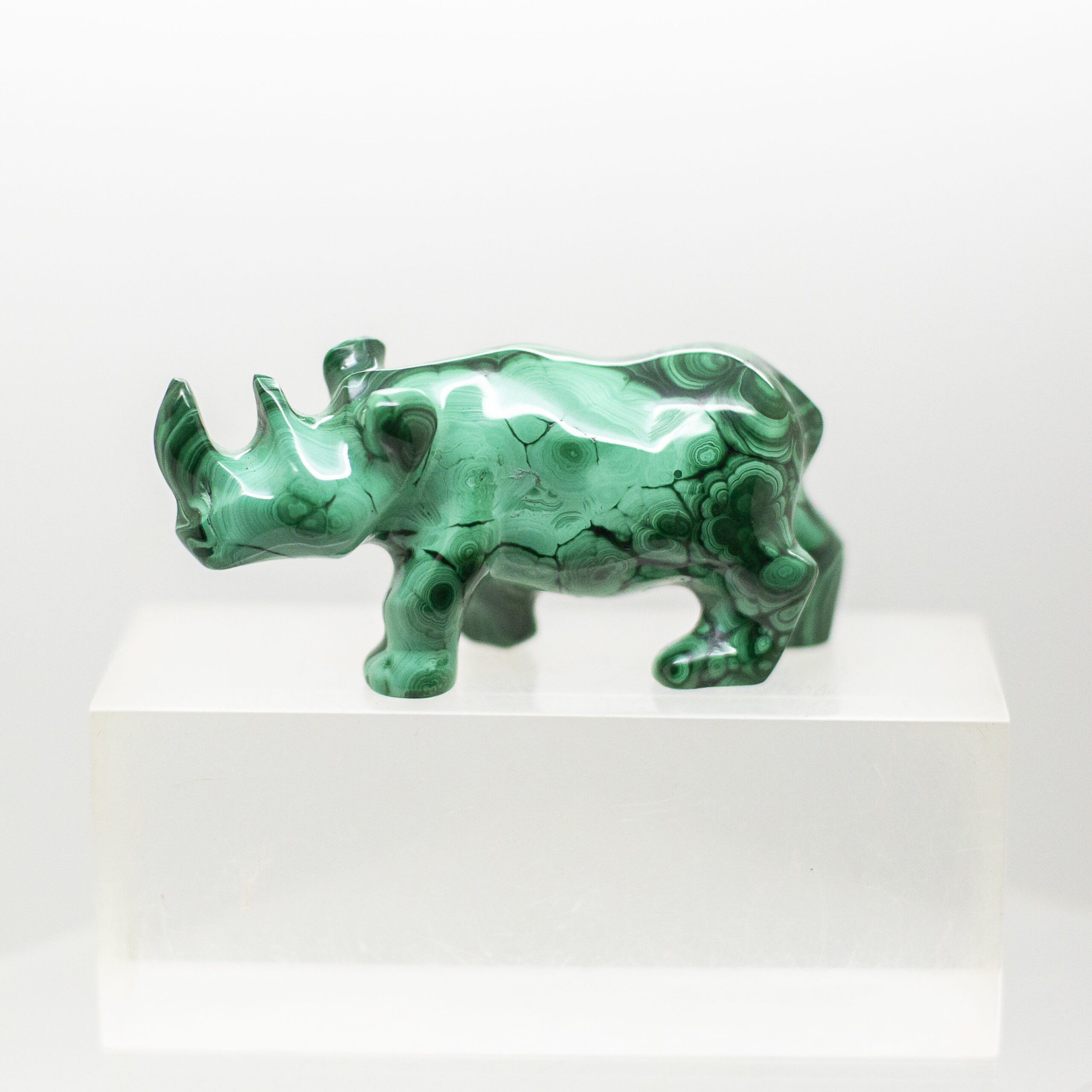 malachite rhinoceros