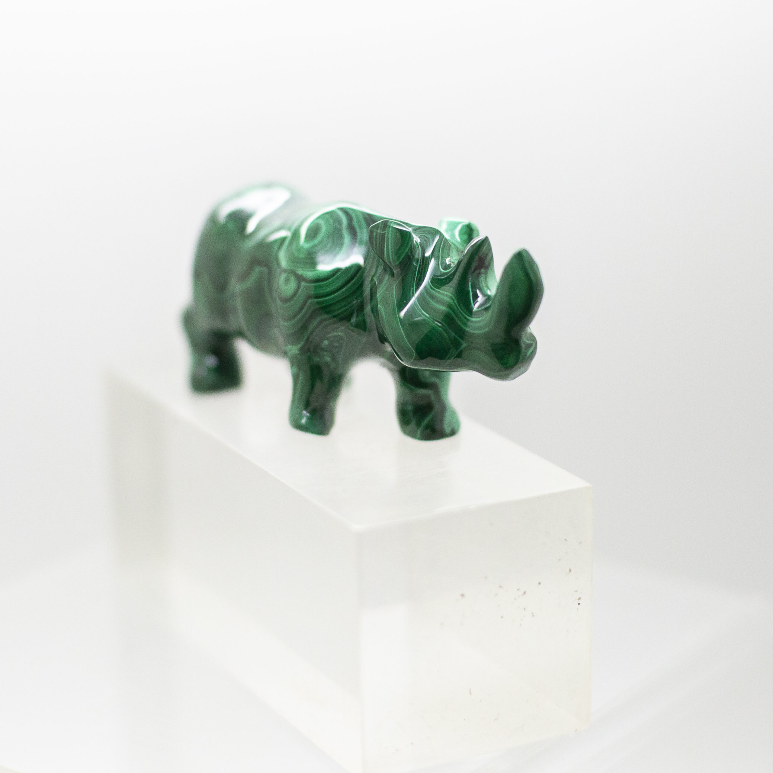malachite rhinoceros