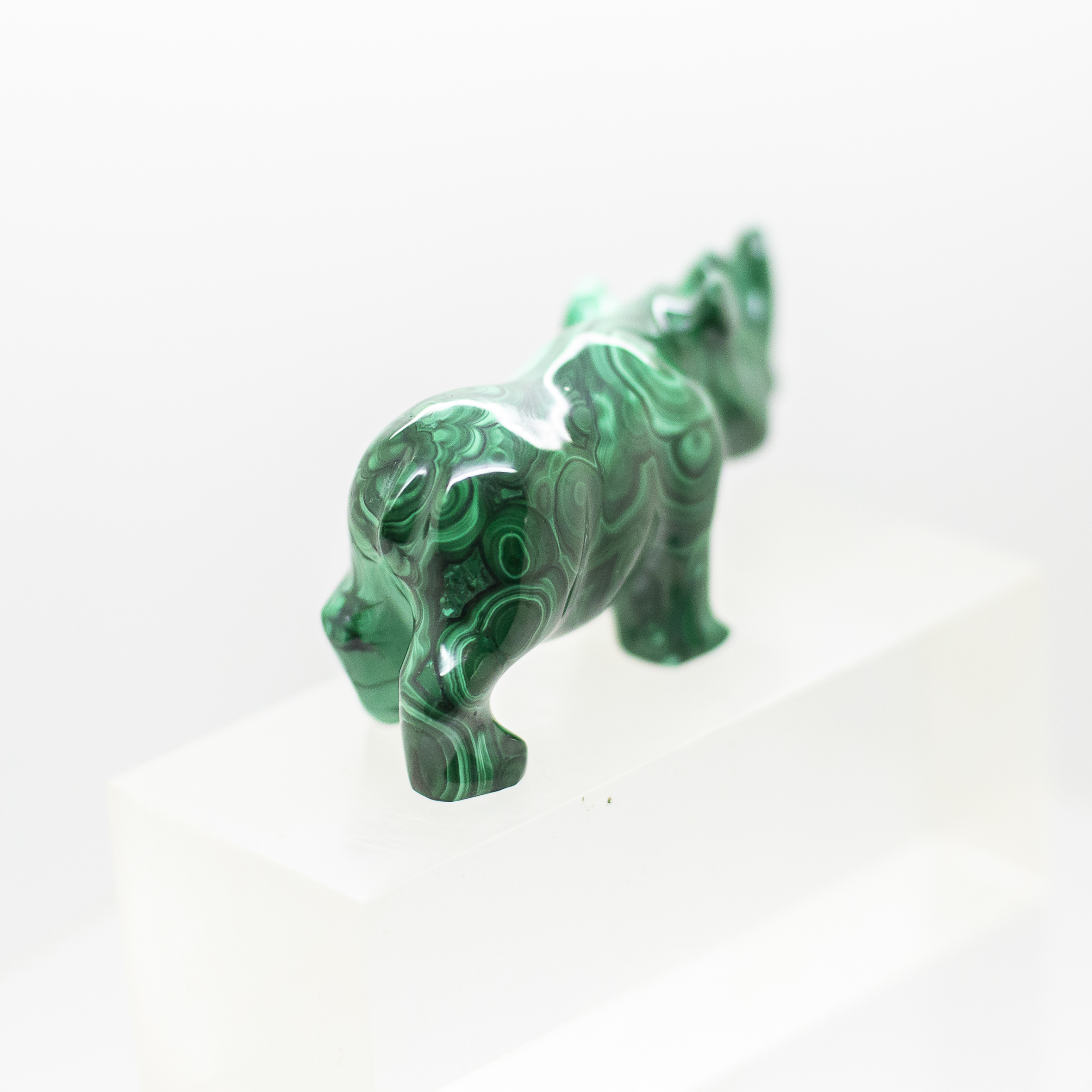 malachite rhinoceros