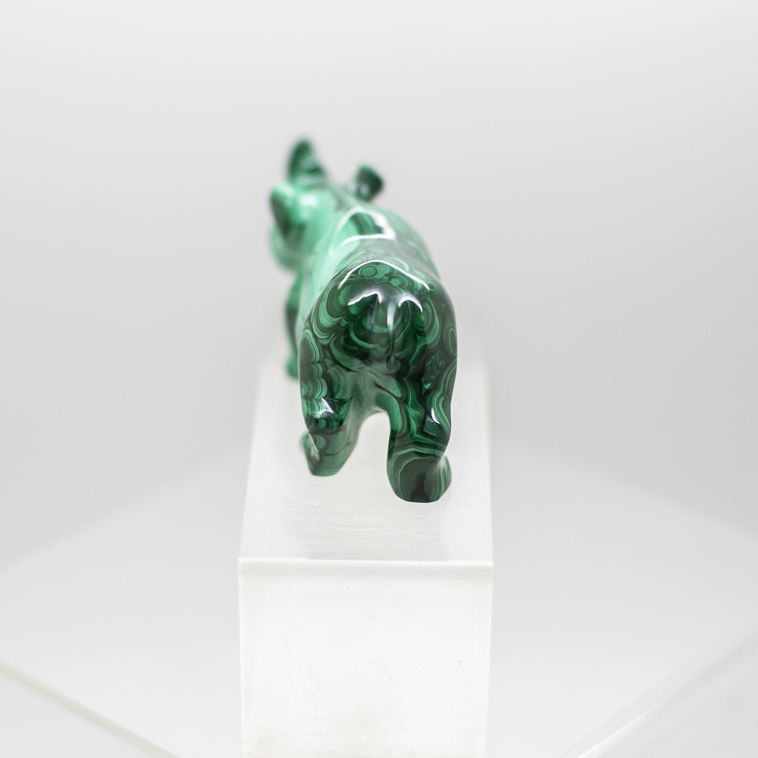 malachite rhinoceros