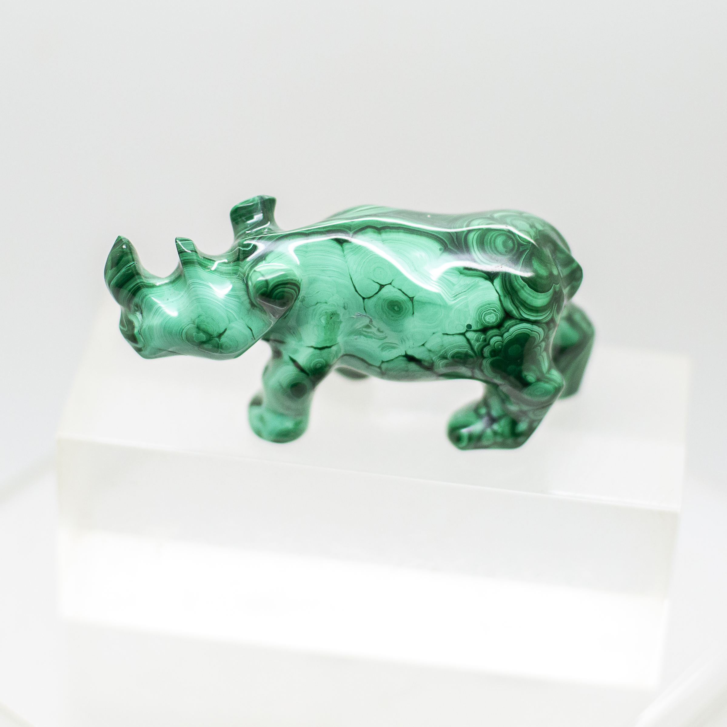 malachite rhinoceros
