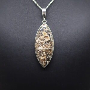 turritella agate pendant