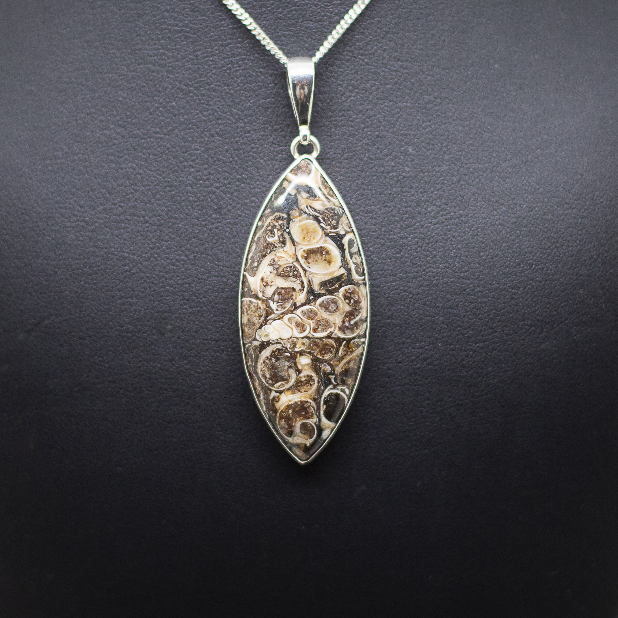 turritella agate pendant