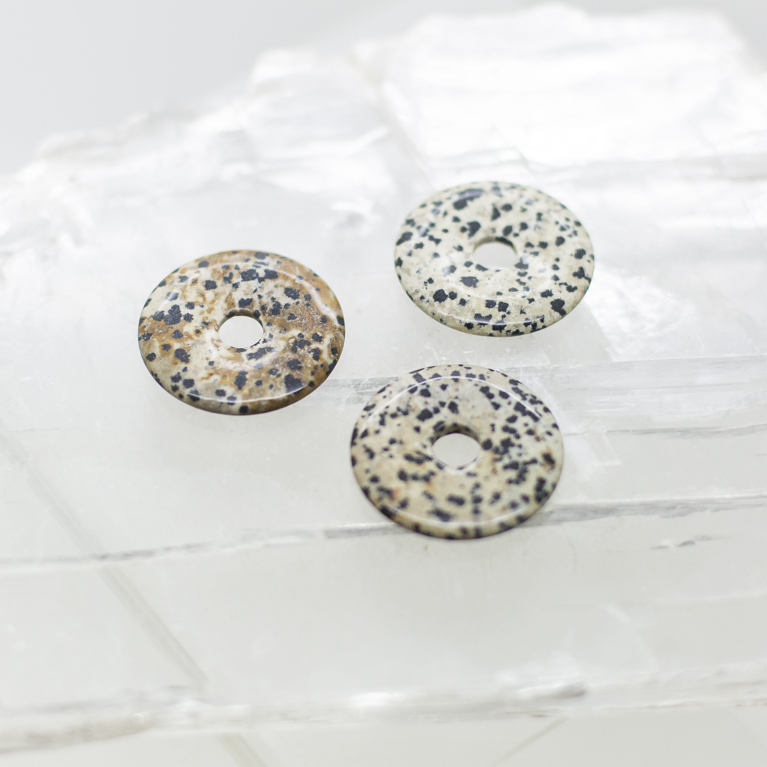 dalmation jasper donut