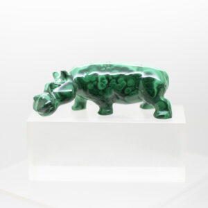 malachite hippo