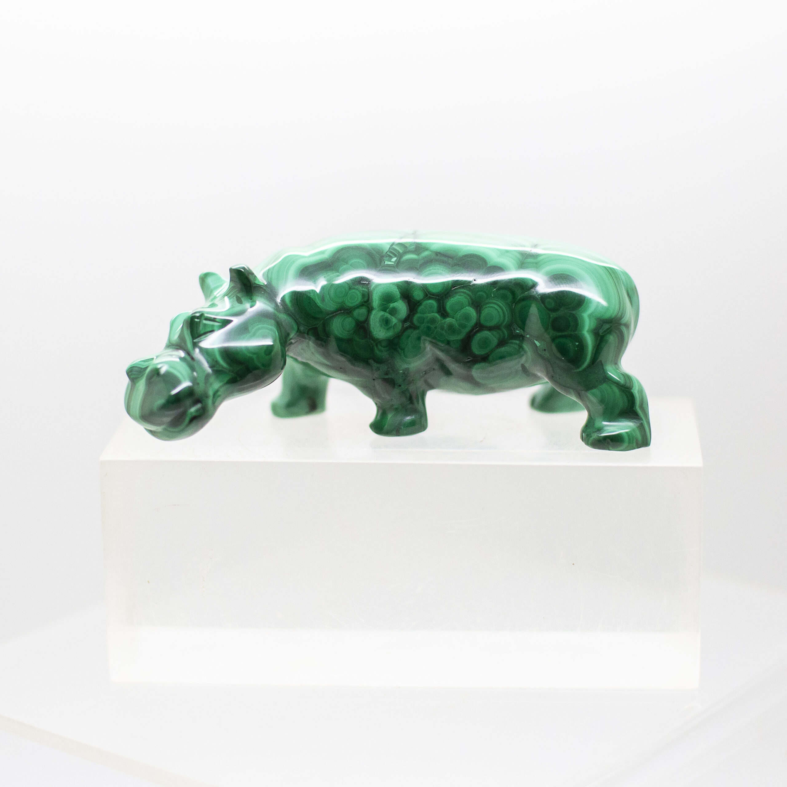 malachite hippo