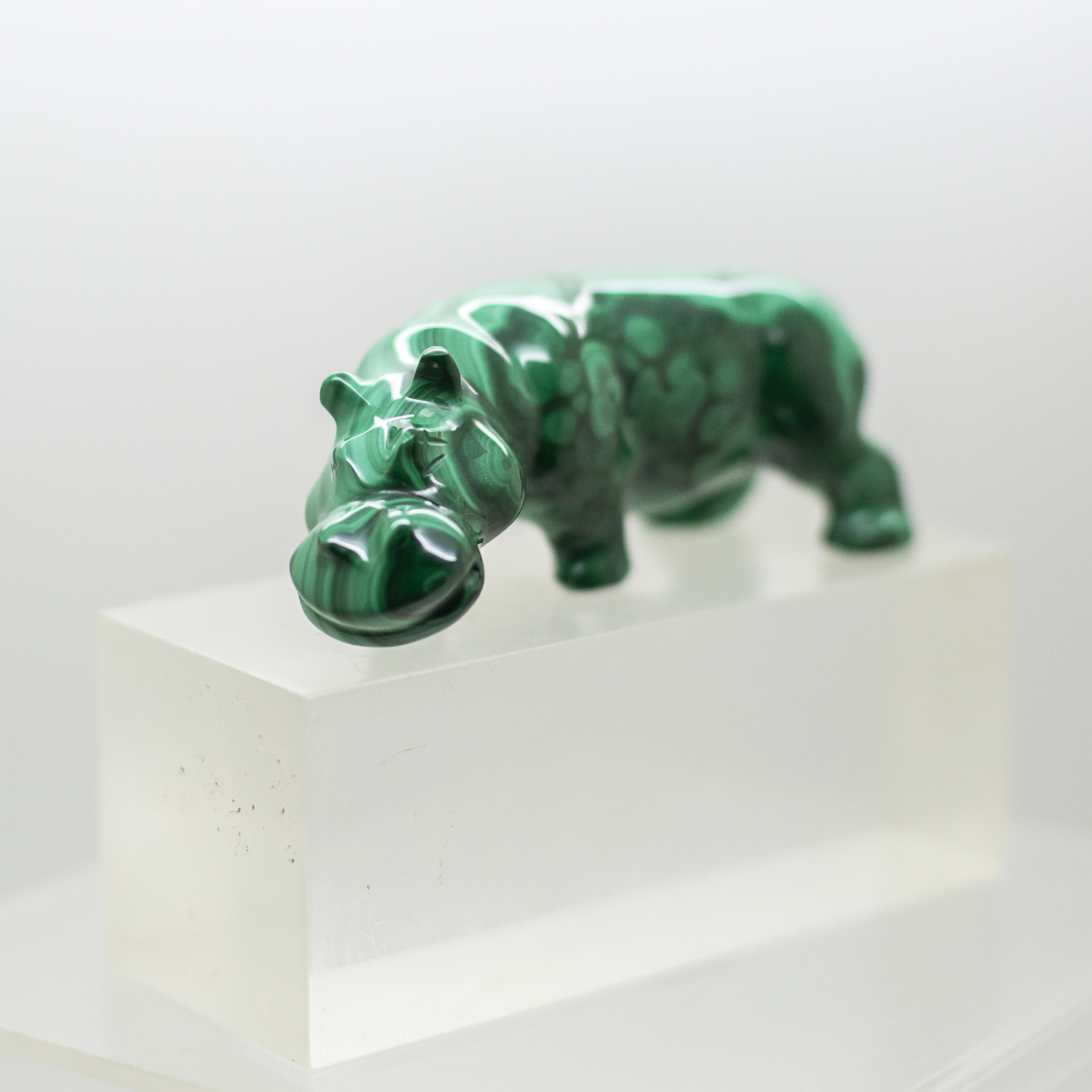 malachite hippo