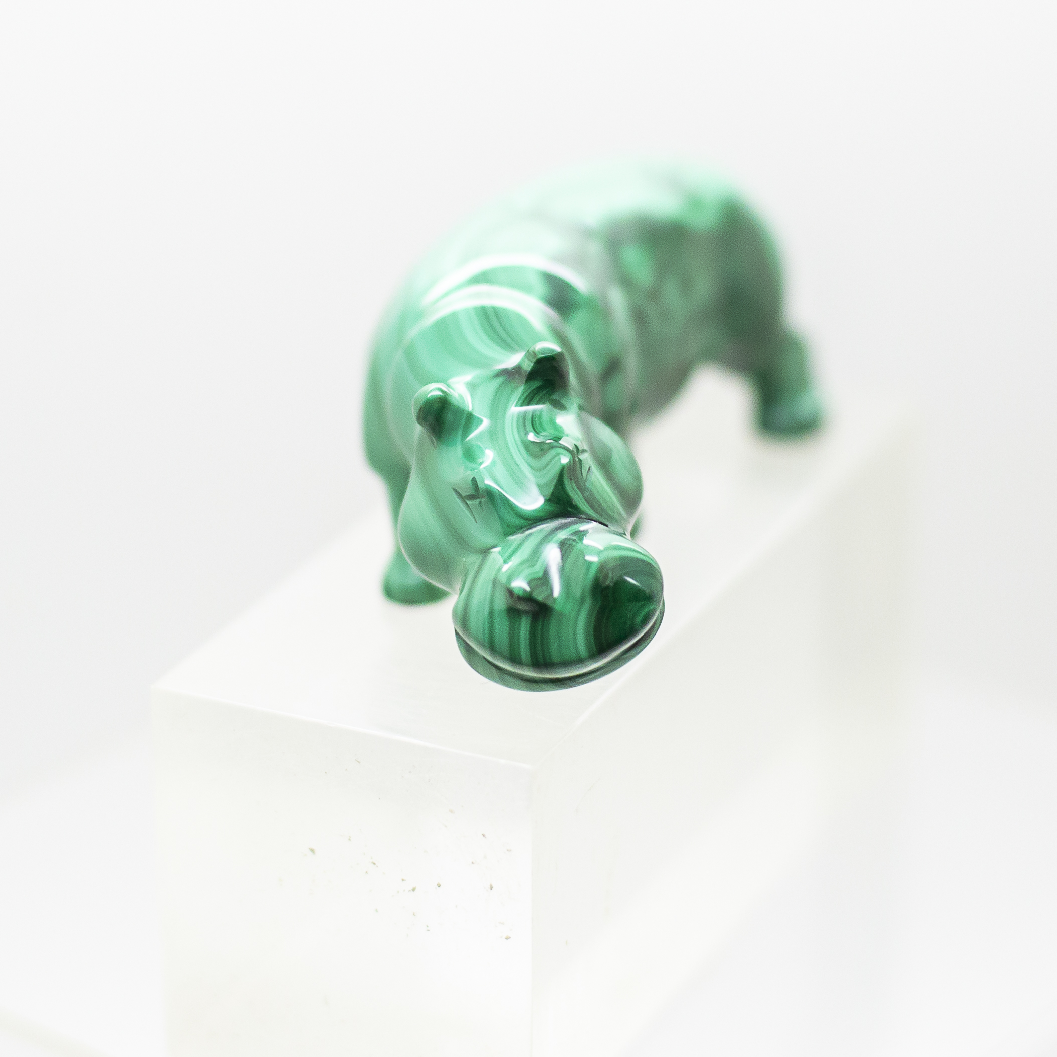 malachite hippo