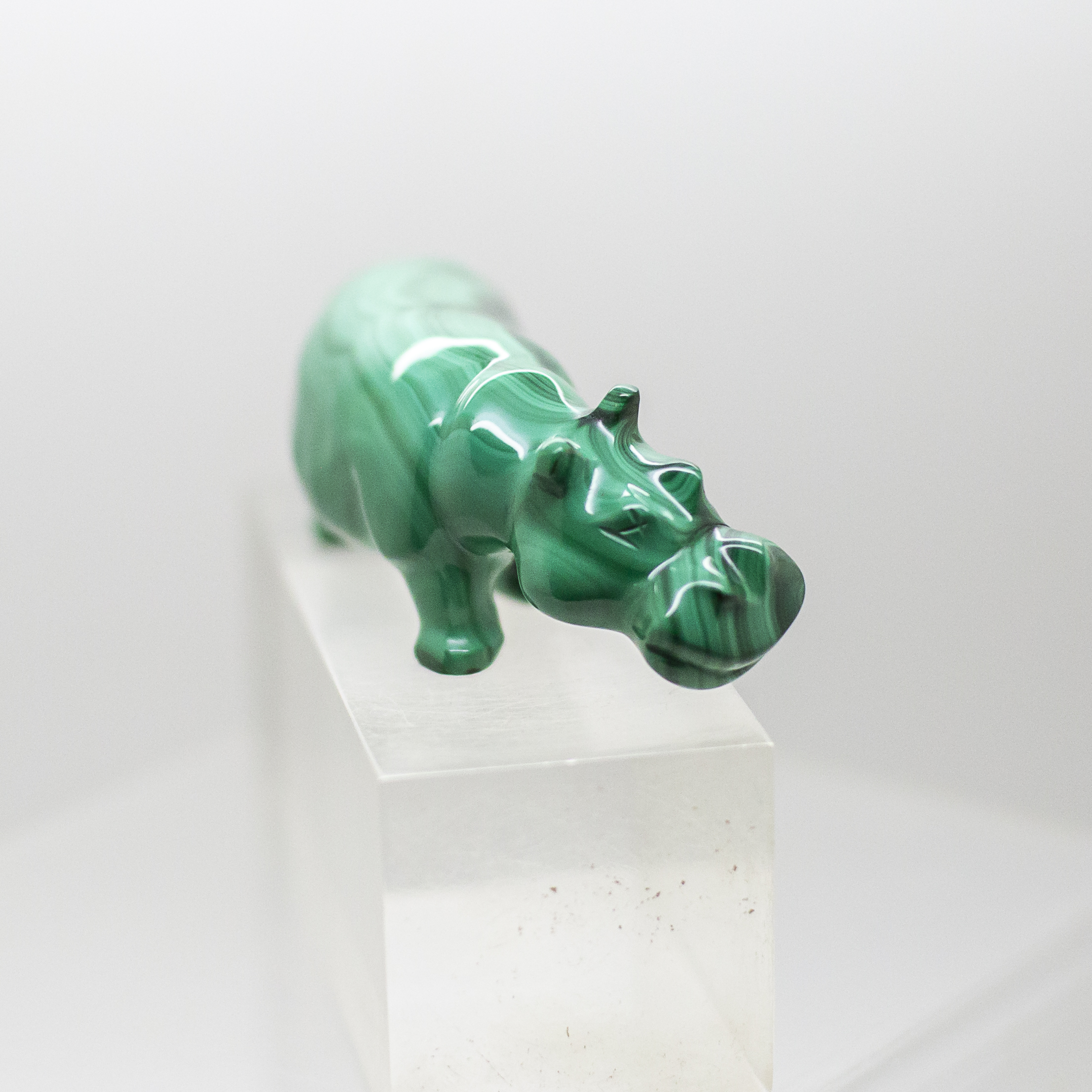 malachite hippo
