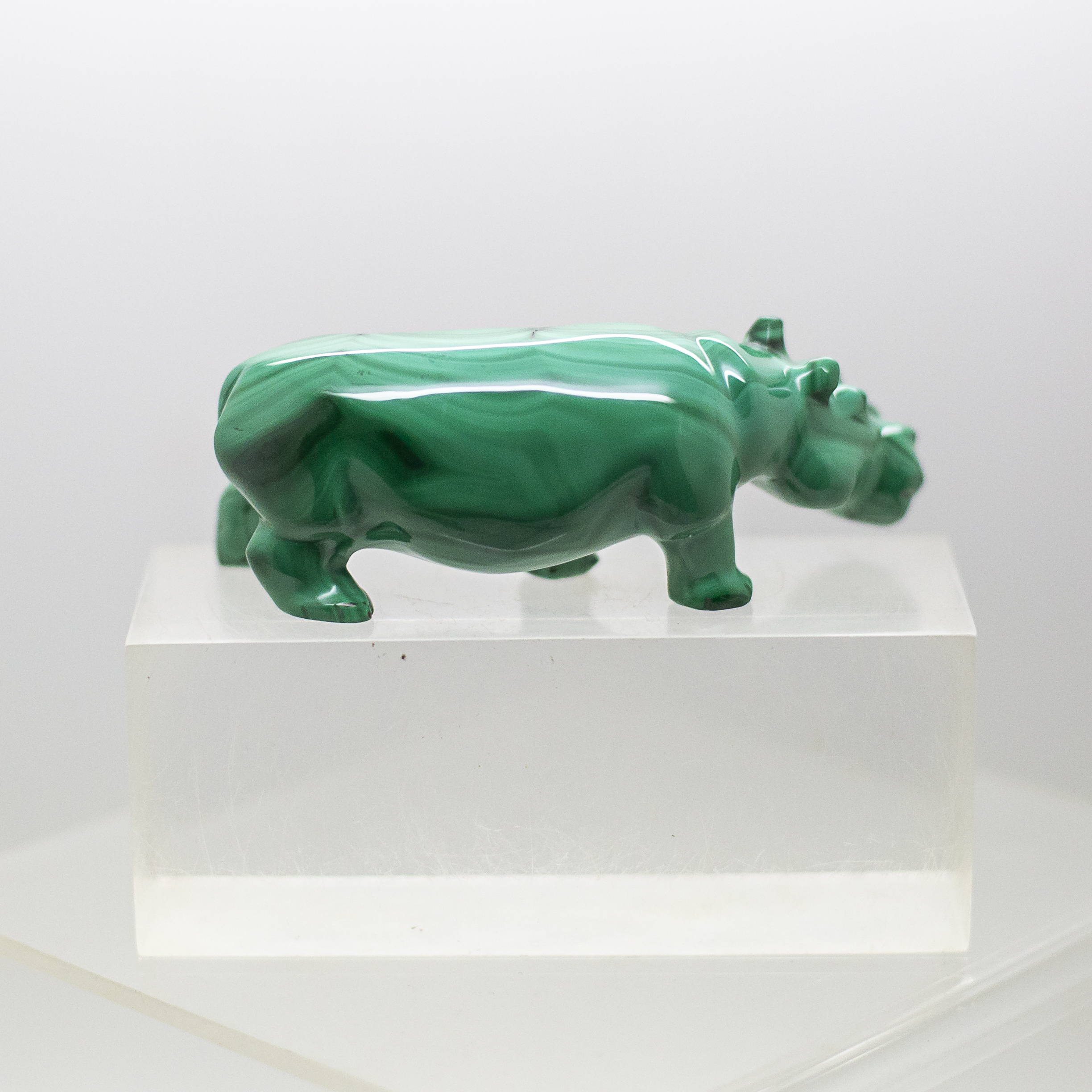 malachite hippo