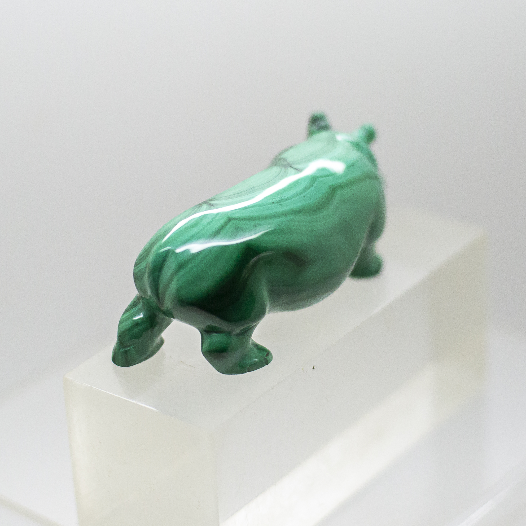 malachite hippo