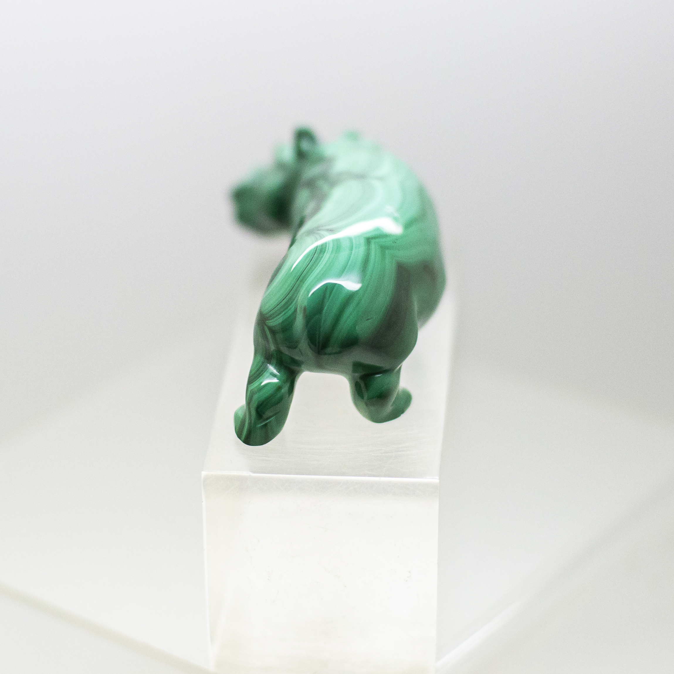 malachite hippo
