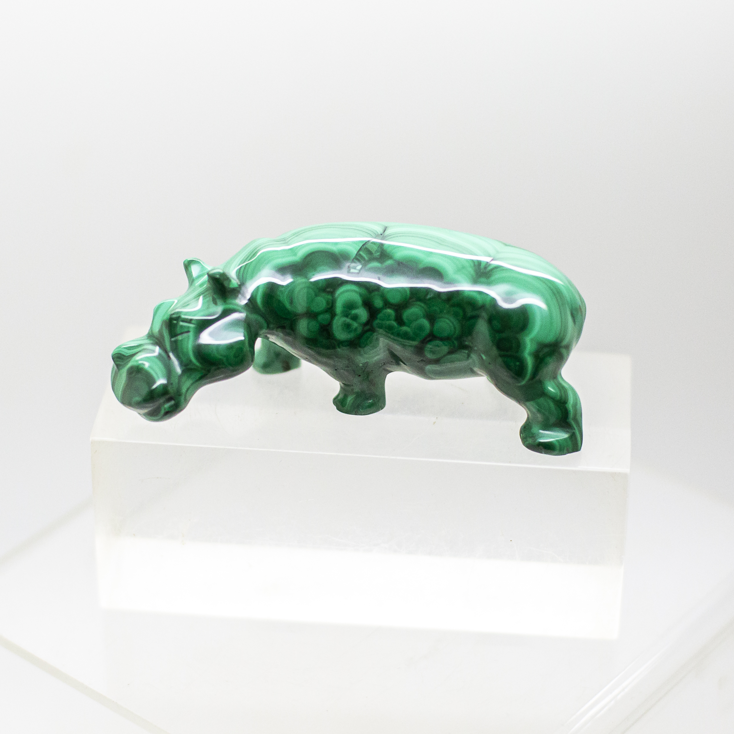 malachite hippo
