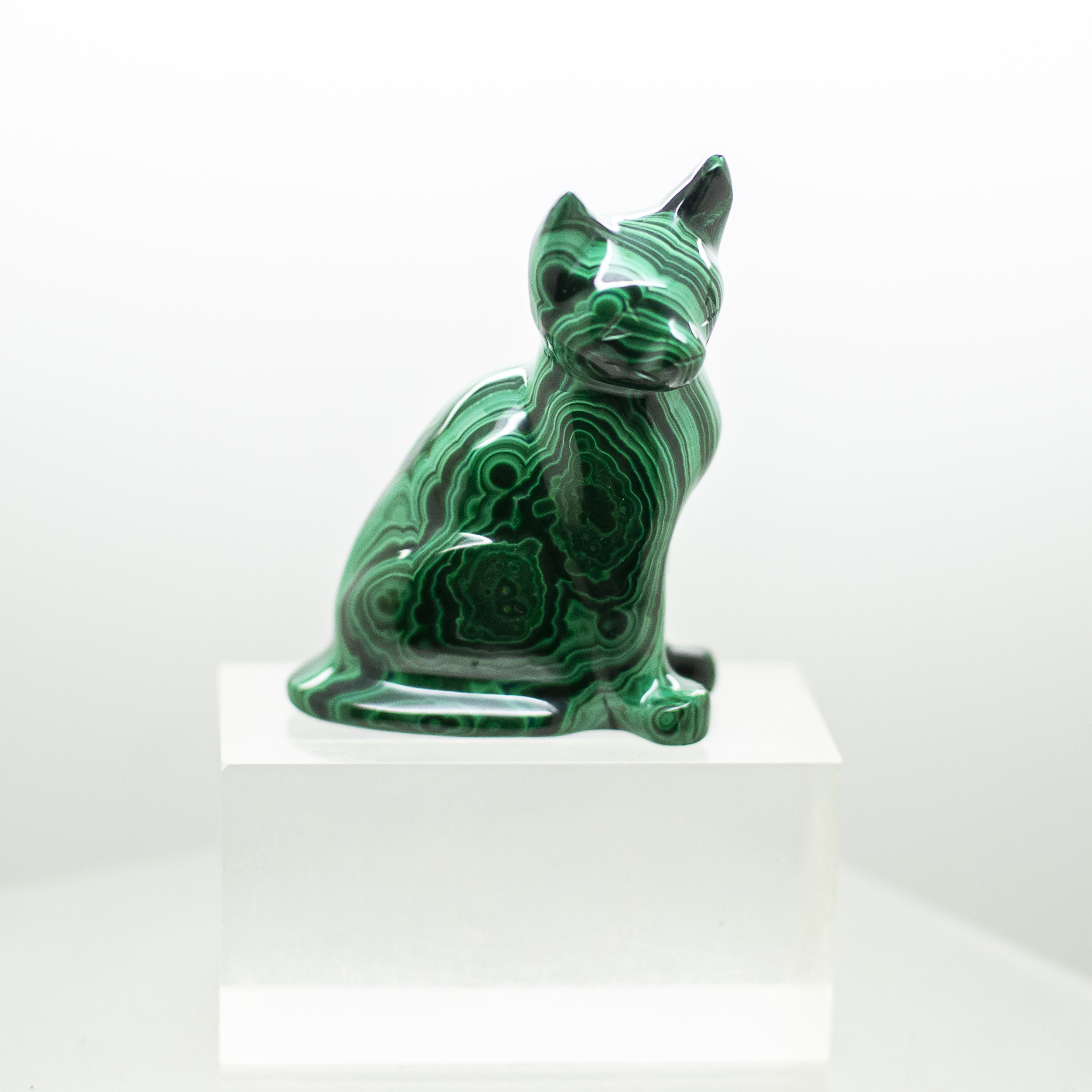 malachite cat