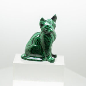 malachite cat