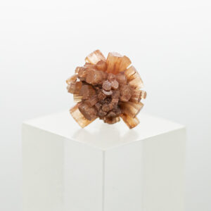 aragonite cluster