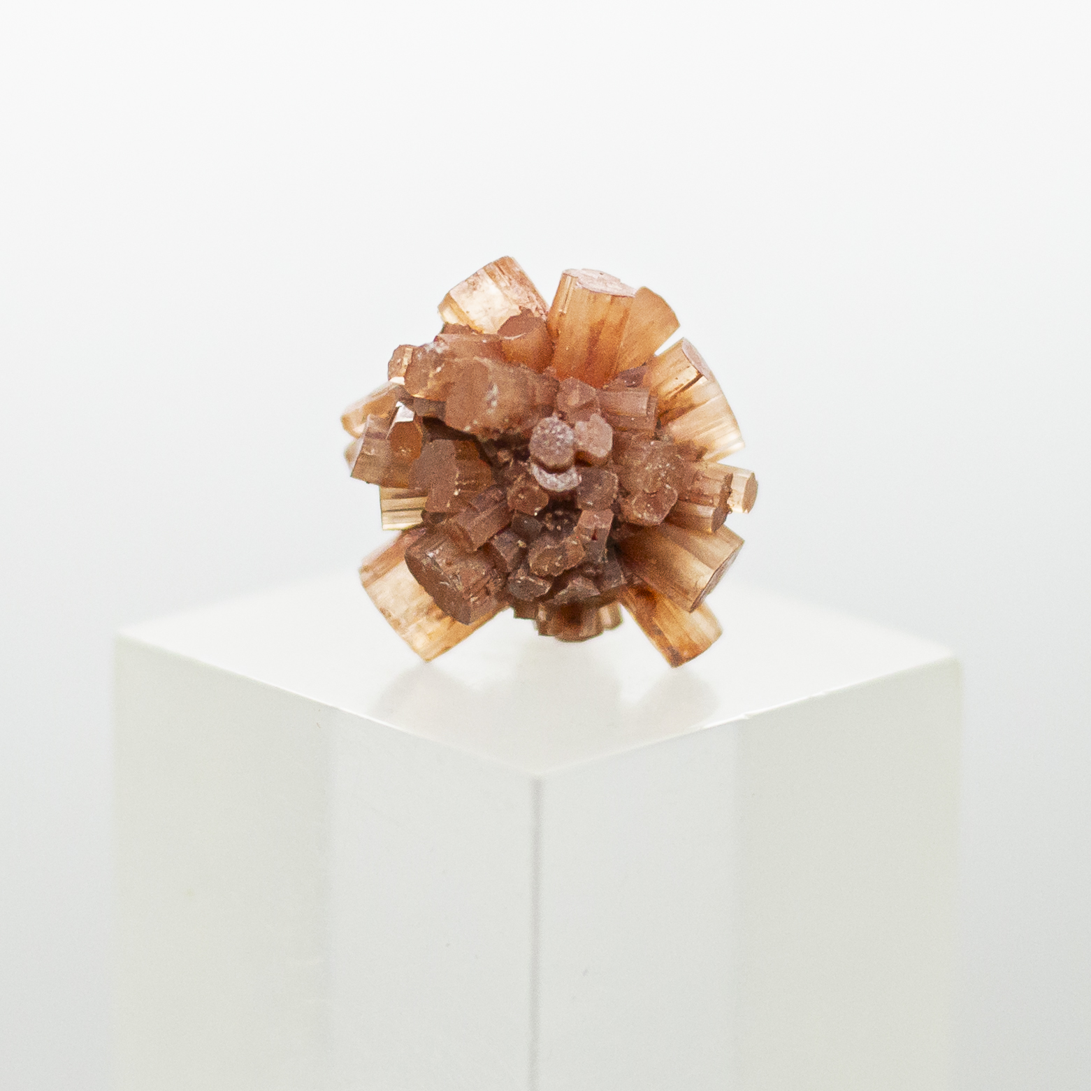 aragonite cluster