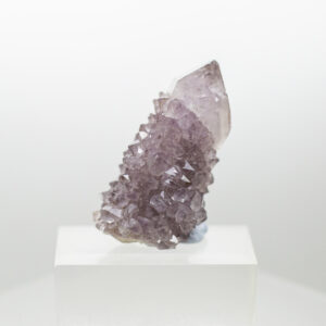 spirit cactus quartz