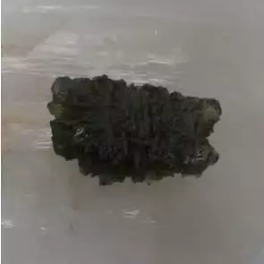 Moldavite |Tektite | Meteorite