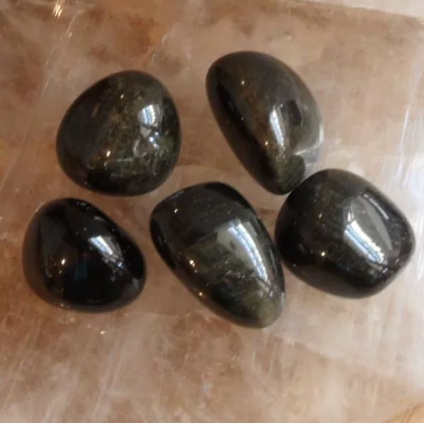 Gold Sheen Obsidian Tumbled Stones