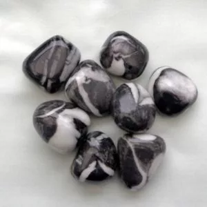 Fossil Shell Marble Tumbled