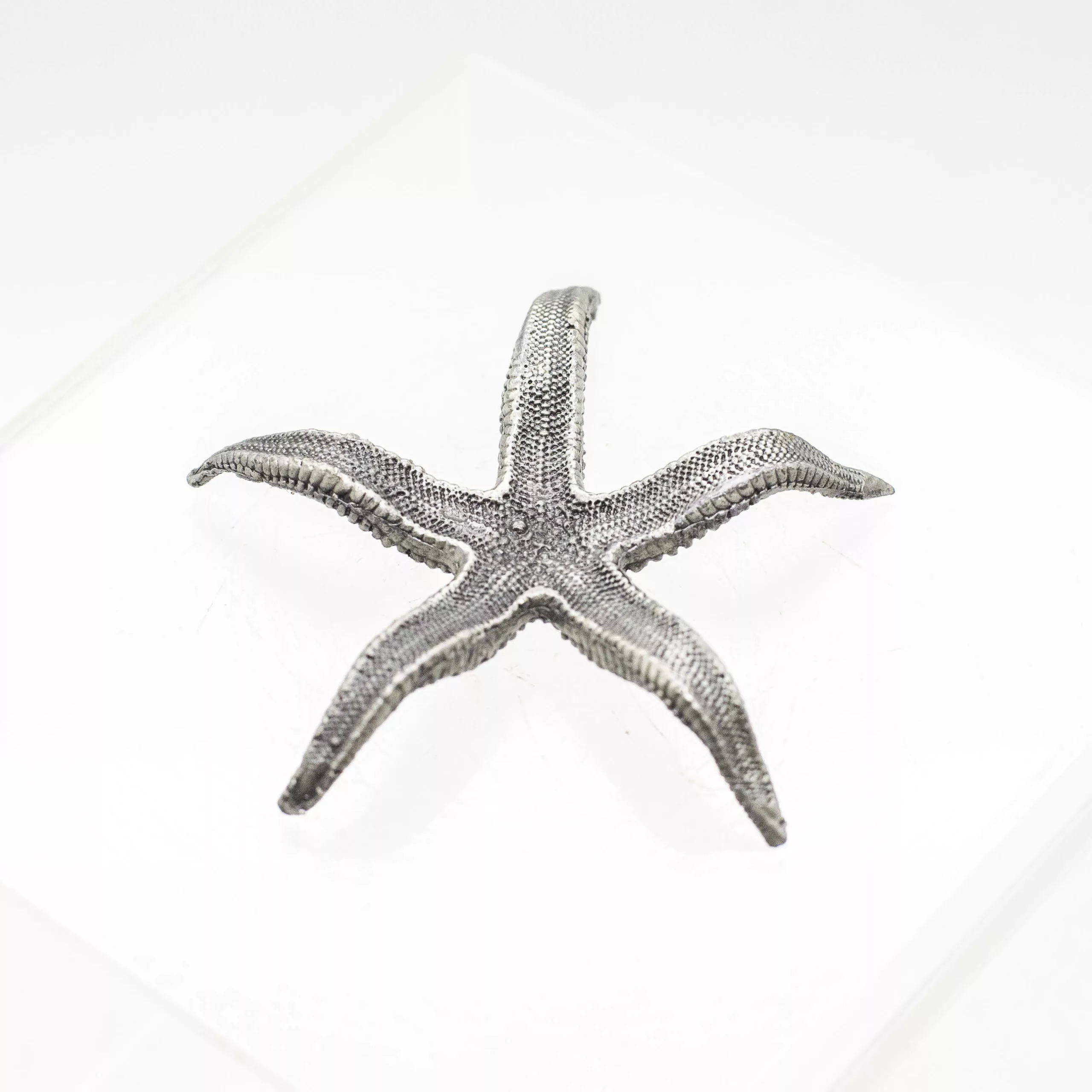 Starfish Stand - Image 3