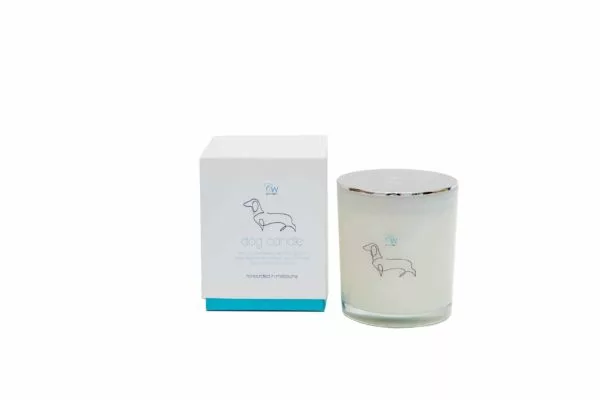 Lemongrass and Ginger Dog Candle