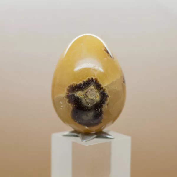 Septarian Egg