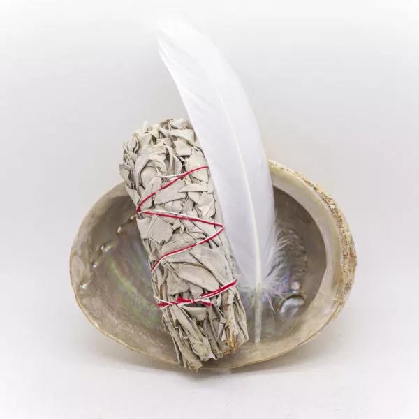 White Sage smudge kit