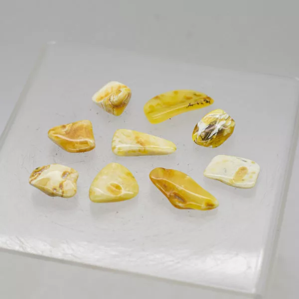 Baltic Butterscotch Amber pieces