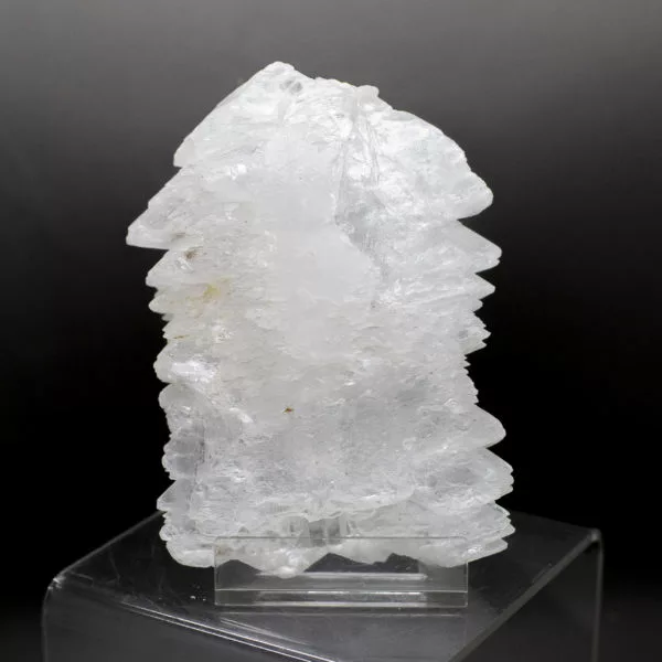 Fishtail Selenite (1)