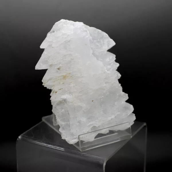 Fishtail Selenite (2)