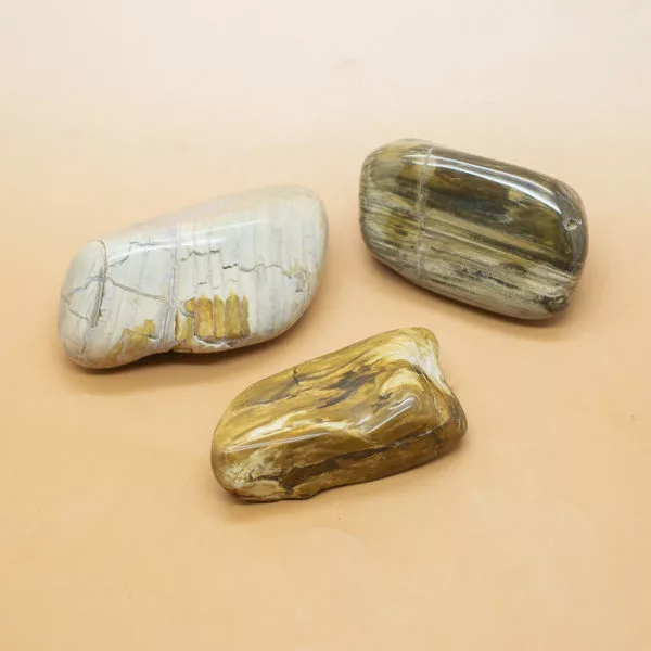 Petrified wood Hand Stones 2