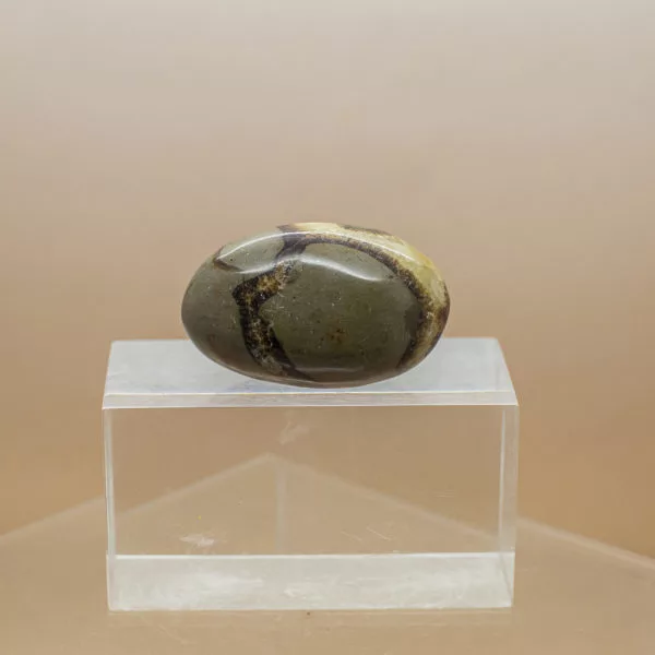 septarian hand stone (2)