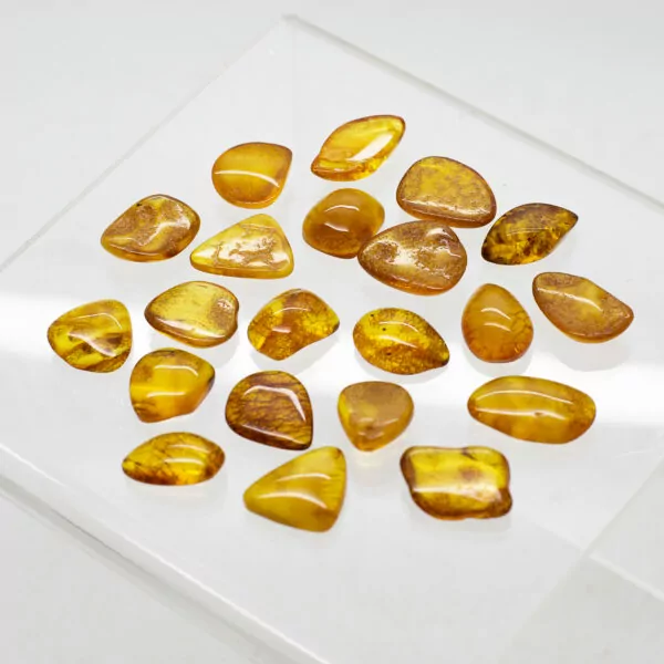 baltic amber pieces