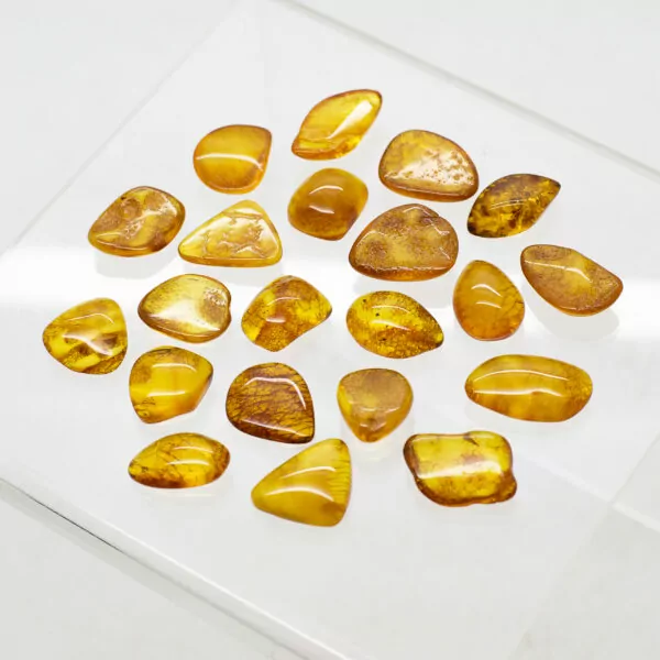 baltic amber pieces