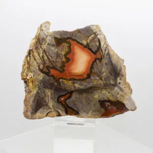 Agate Slice 1