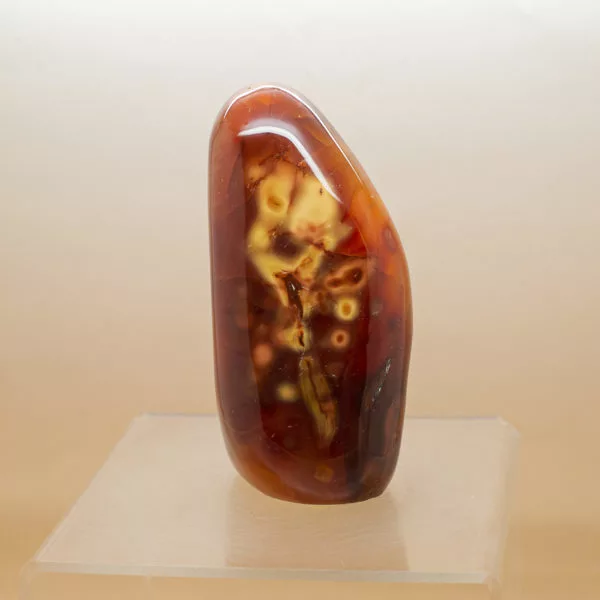 Carnelian Free Form 1