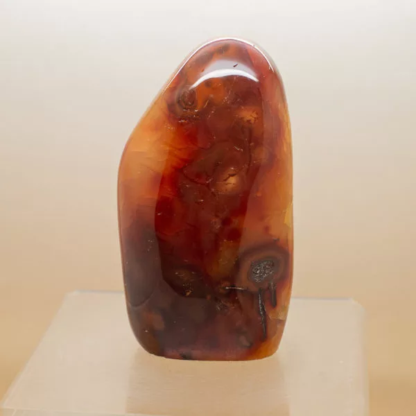 Carnelian Free Form 3